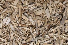 biomass boilers Ardnarff